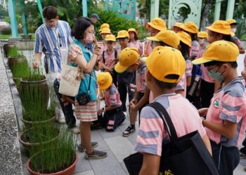 中市纖博館藺結心歡教育扎根系列課程   師生體驗趣味藺草編