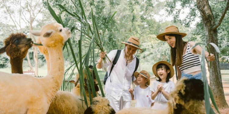 新竹全新親子超夯設施、療癒動物體驗一站玩透透 九月秋遊關西六福莊 新竹全新親子超夯設施、療癒動物體驗一站玩透透 九月秋遊關西六福莊