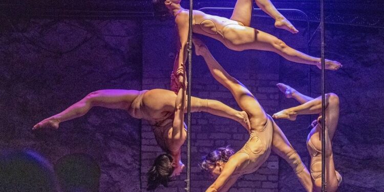 臺中之光創造焦點插旗歐洲、大洋洲女力 當代馬戲  耀眼奧運與國際藝術節