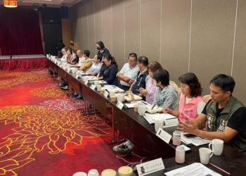 花蓮觀光需長期復健 縣議會民進黨團提減稅 陳世凱允帶回討論