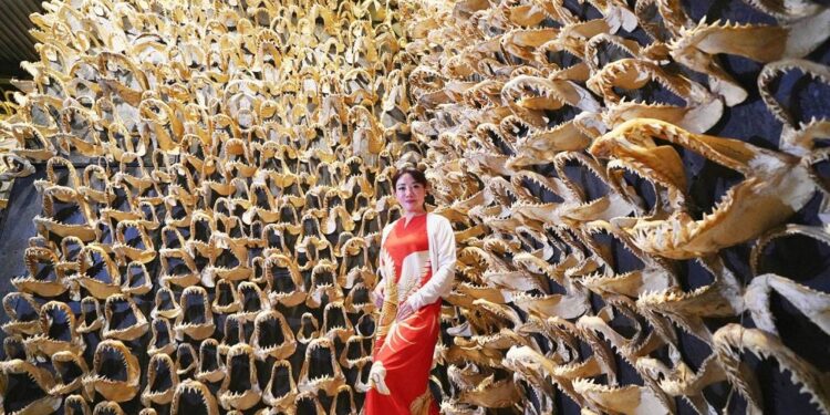 里昂仙境黃韻庭紮根   台灣讓世界走進來