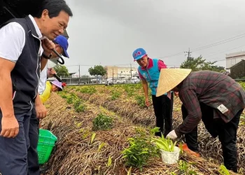 吉安鄉防範風災偕農民研擬防颱 游淑貞、張德奇走入田間關心現況