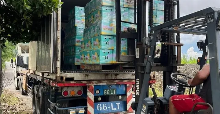 花蓮縣政府全力推動有機農業與文旦柚市場復甦 花蓮縣政府全力推動有機農業與文旦柚市場復甦