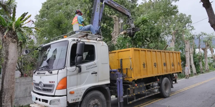游淑貞率隊修剪樹木清溝防颱 呼籲鄉親全面做好家戶防颱準備