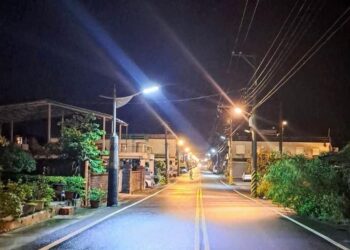 信不信由你/重返宇宙的靈元》臺灣神界大對決：山陀兒與鄭大千歲的風暴談判