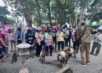 嘉義咩咩上樹萌寵樂園 十月國慶特別活動頌不停