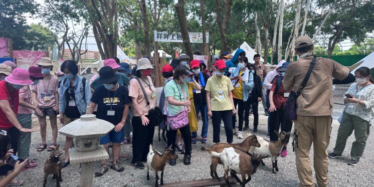嘉義咩咩上樹萌寵樂園 十月國慶特別活動頌不停