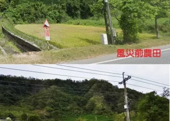 一場風災 地方需要人助更需要自助