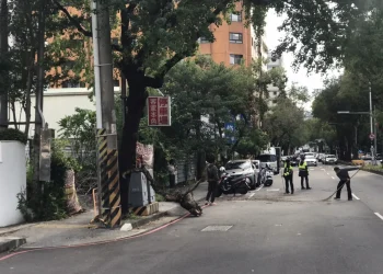 路樹壓到車輛   中警迅速排除