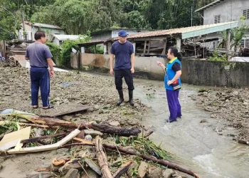 強颱康芮侵襲 強風大雨路樹傾倒、土、水泛流 縣長、鄉長勘災