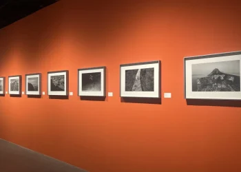 打造攝影的中華語境  兩岸攝影家齊聚浙江