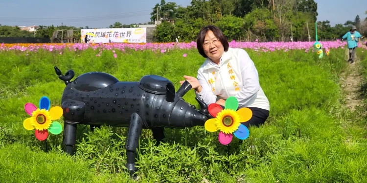 民雄景觀花海專區大波斯菊盛開 如詩如畫成打卡熱點 民雄景觀花海專區大波斯菊盛開 如詩如畫成打卡熱點