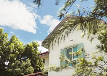 國際客成旅遊生力軍　奧丁丁推出花蓮新旅宿綠舍  打造花蓮壽豐山林度假