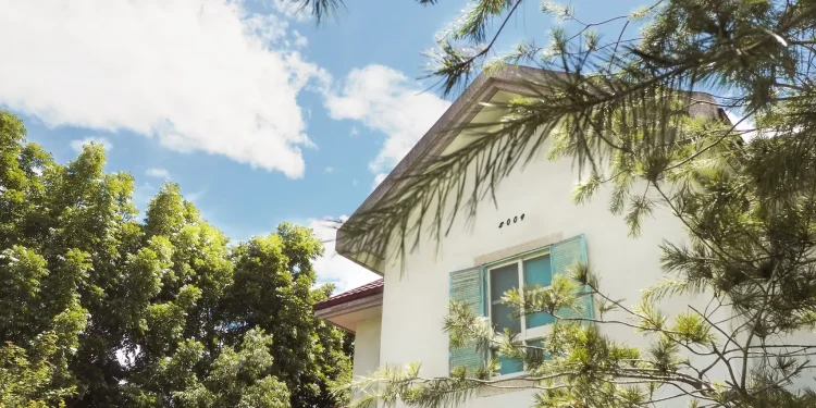 國際客成旅遊生力軍　奧丁丁推出花蓮新旅宿綠舍  打造花蓮壽豐山林度假